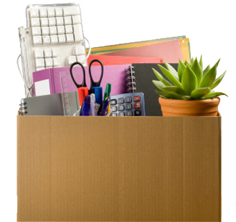 Office Shifting Services